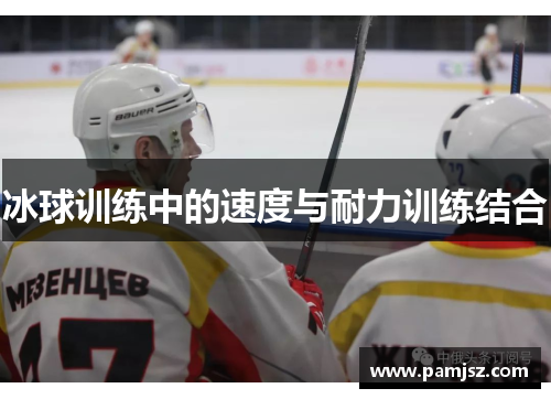 冰球训练中的速度与耐力训练结合