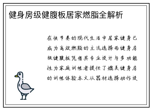 健身房级健腹板居家燃脂全解析